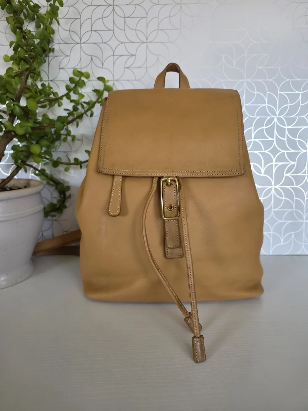 Coach vintage legacy